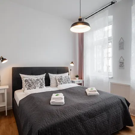 Goethe Palais Charlotte 4p L Lift I Parkplatzi Zentrum I Helios Aue (Saxony)